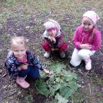 phoca_thumb_m_zajci a neci 1 Fotogalerie